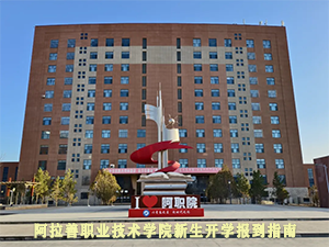 报到指南